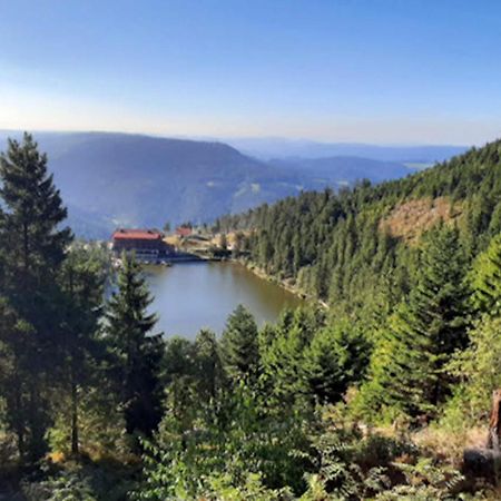Rehkitz Daire Baiersbronn Dış mekan fotoğraf