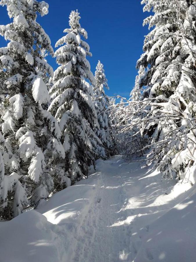 Rehkitz Daire Baiersbronn Dış mekan fotoğraf