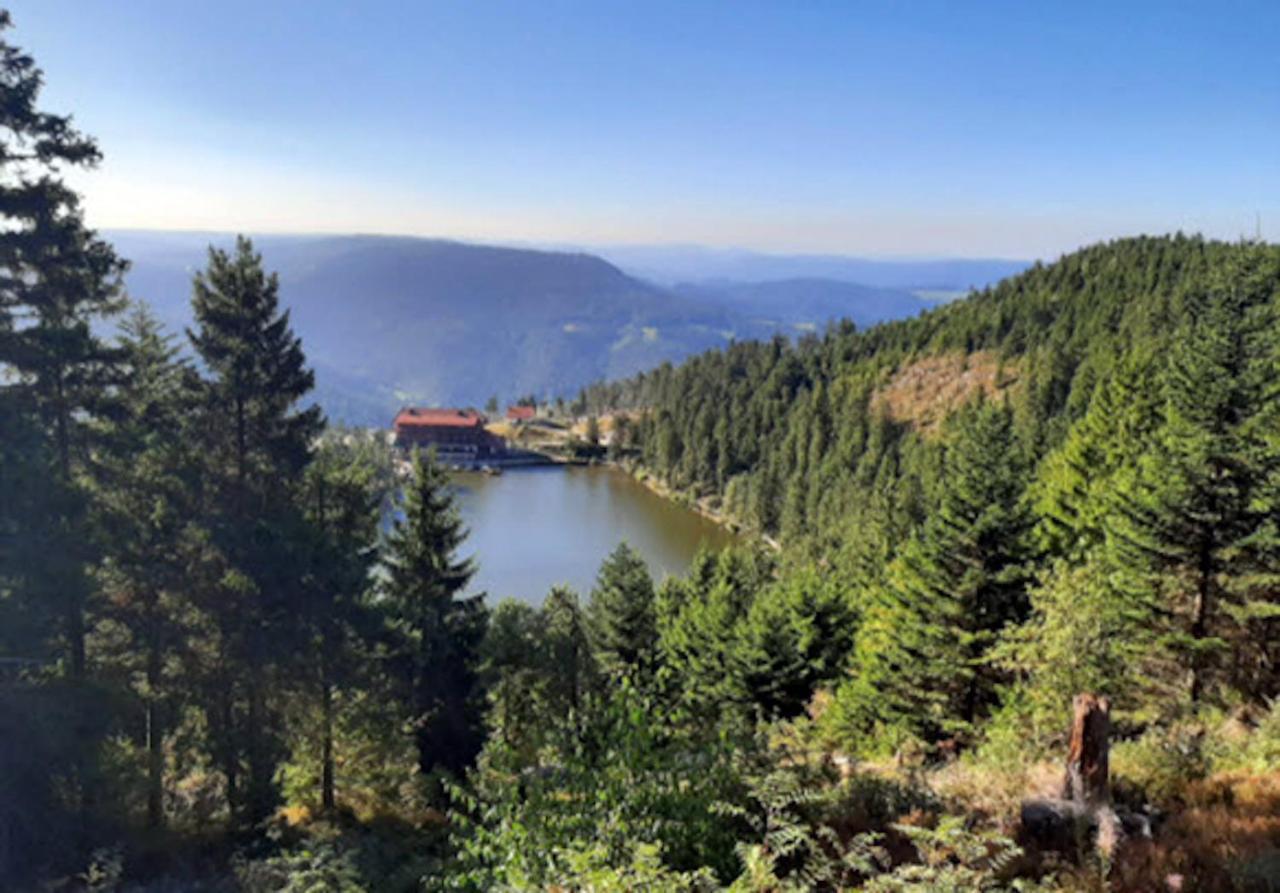 Rehkitz Daire Baiersbronn Dış mekan fotoğraf